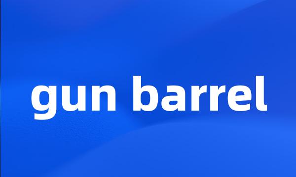 gun barrel