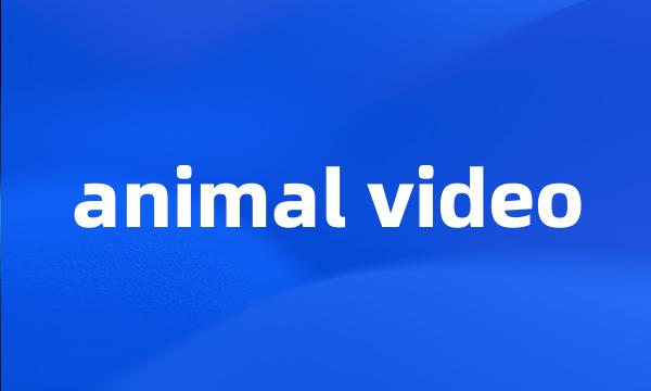 animal video