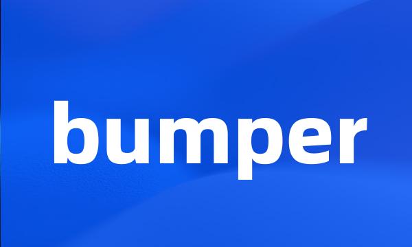 bumper