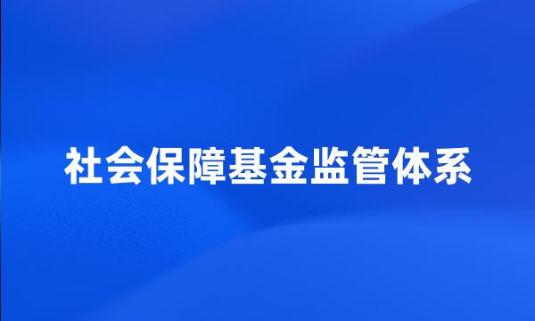 社会保障基金监管体系