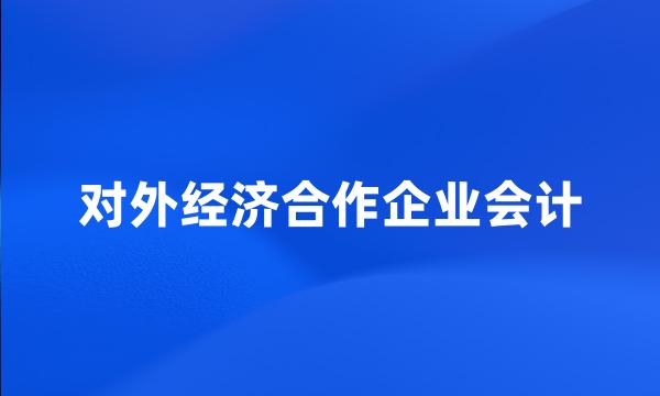 对外经济合作企业会计