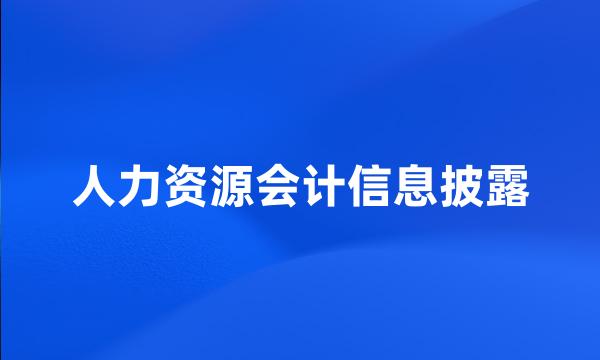 人力资源会计信息披露