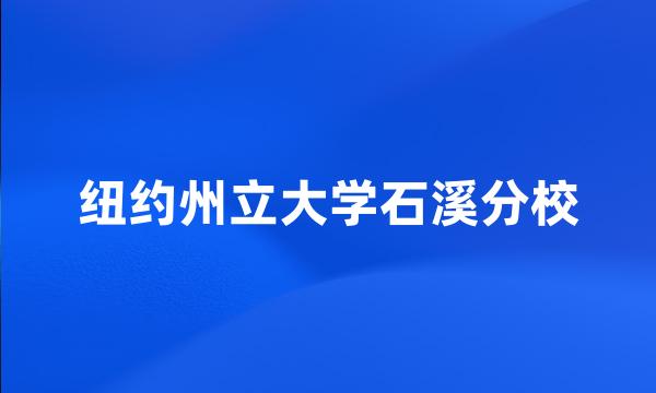 纽约州立大学石溪分校