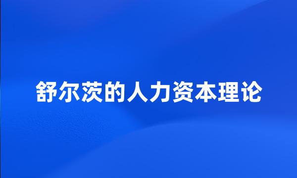 舒尔茨的人力资本理论