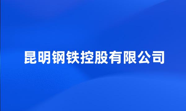 昆明钢铁控股有限公司