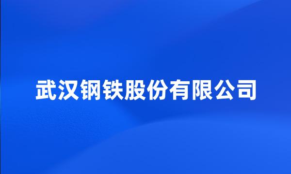 武汉钢铁股份有限公司