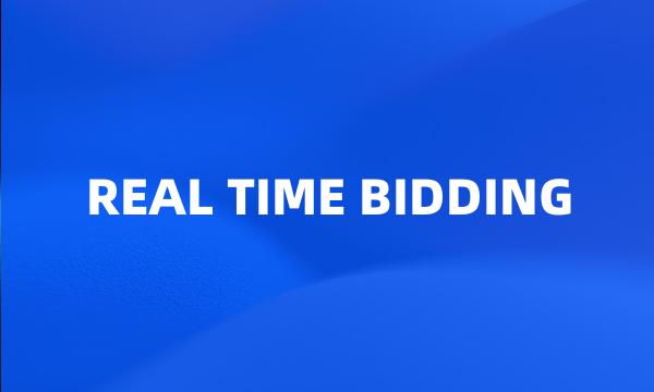 REAL TIME BIDDING