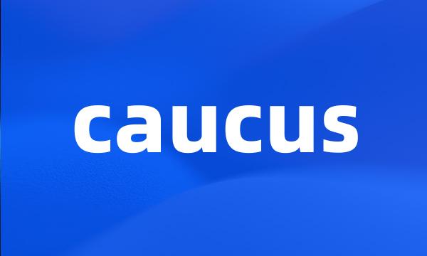 caucus