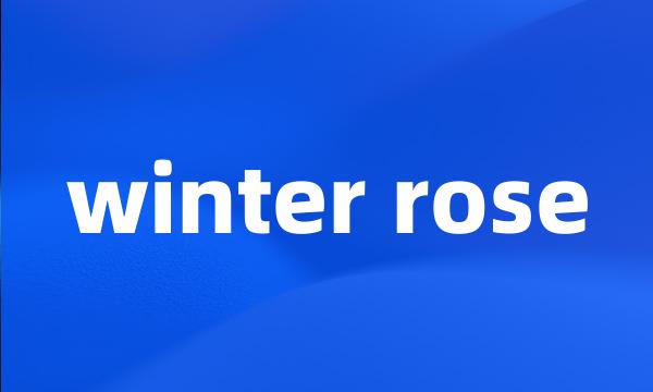 winter rose