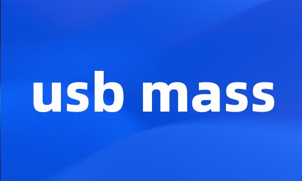 usb mass