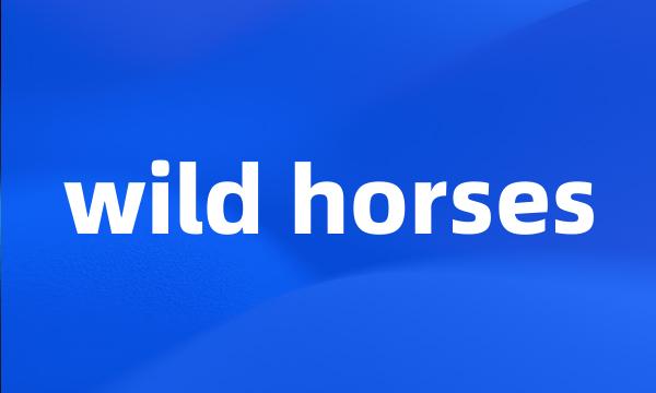 wild horses