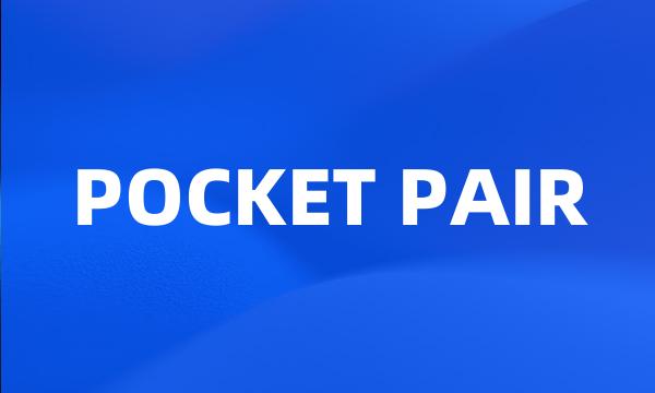 POCKET PAIR