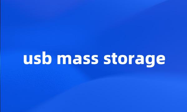 usb mass storage