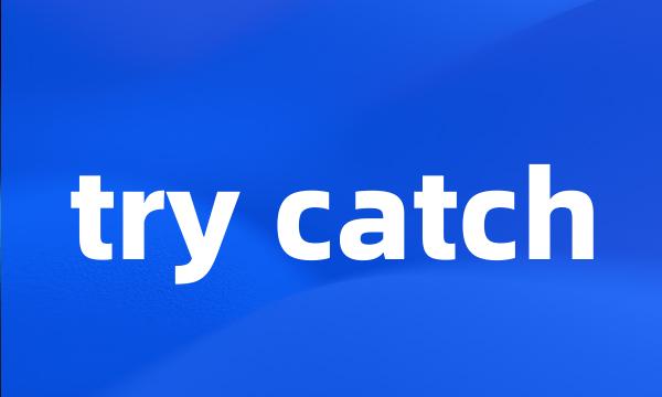 try catch