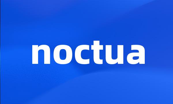 noctua