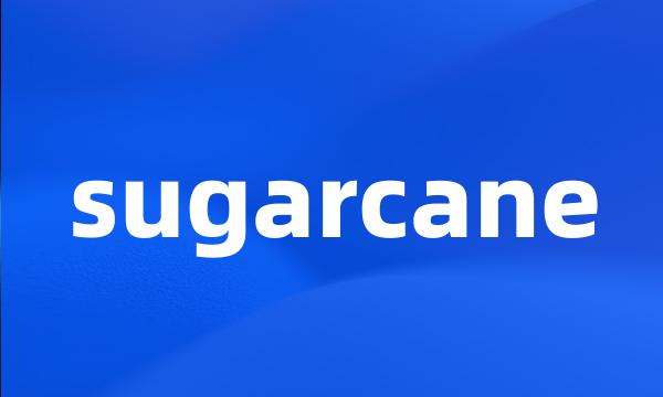 sugarcane