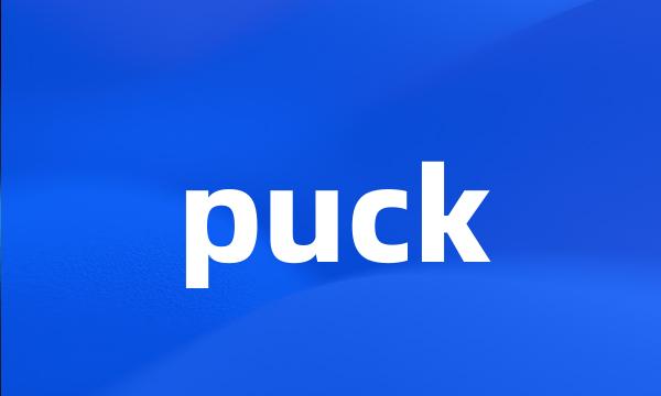 puck