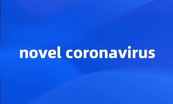 novel coronavirus