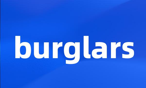 burglars