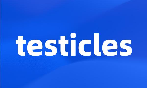 testicles