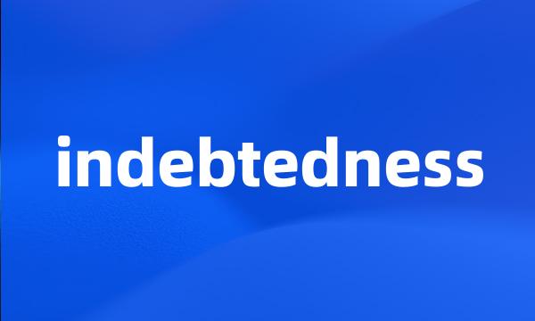 indebtedness