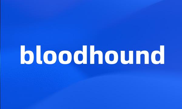 bloodhound