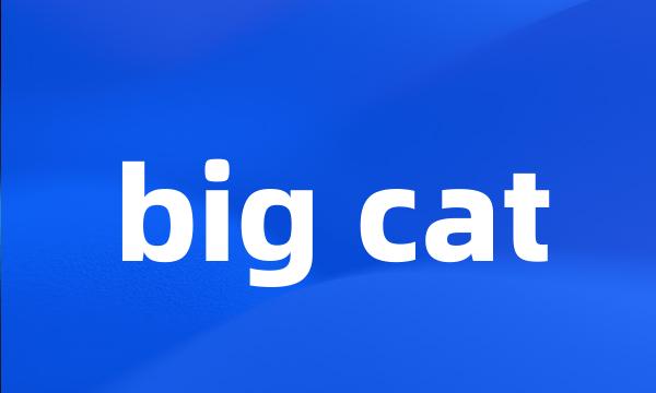 big cat