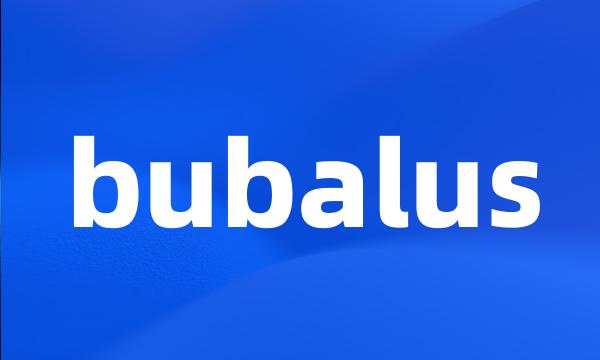 bubalus