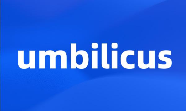 umbilicus