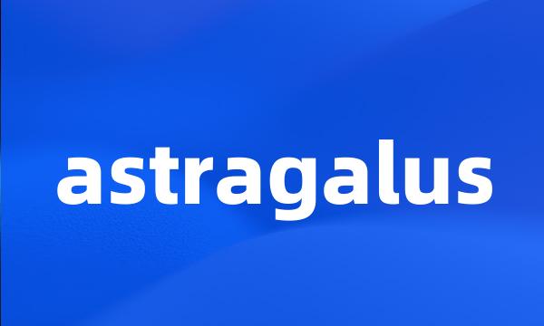 astragalus