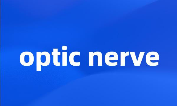 optic nerve