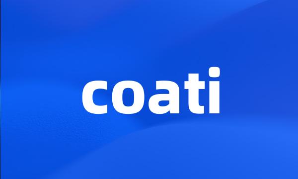 coati