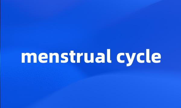 menstrual cycle