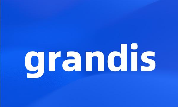 grandis