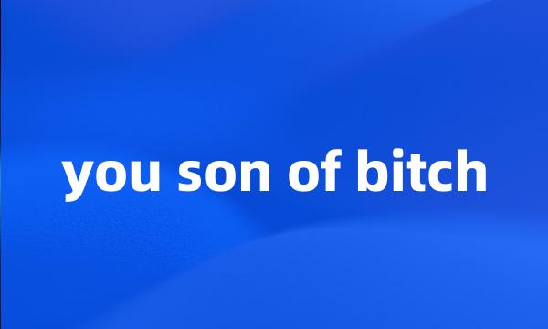 you son of bitch