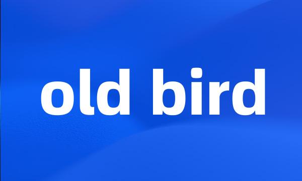 old bird