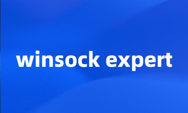 winsock expert