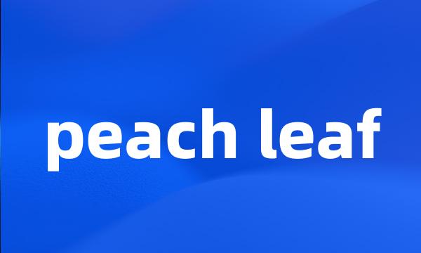 peach leaf