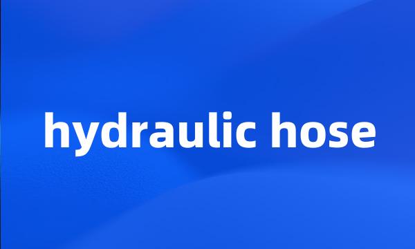 hydraulic hose