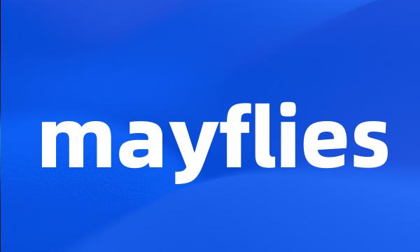 mayflies