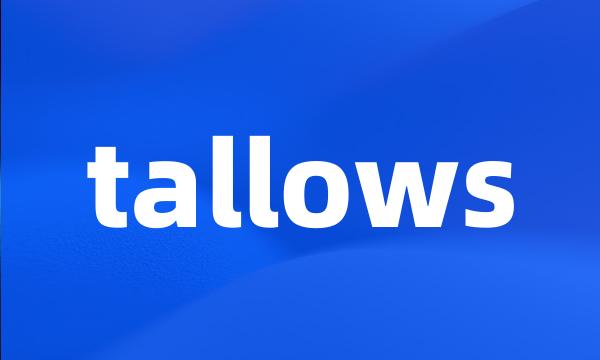 tallows