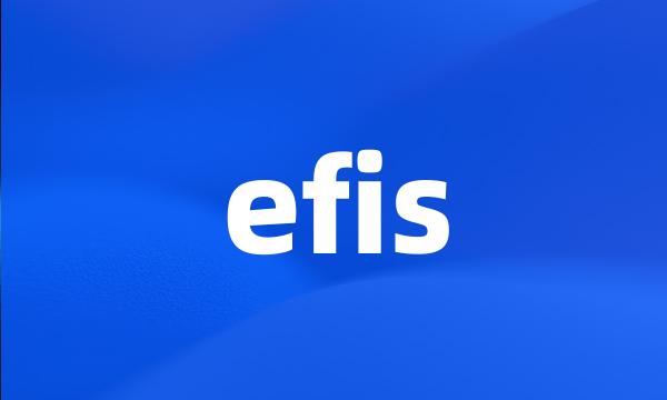 efis