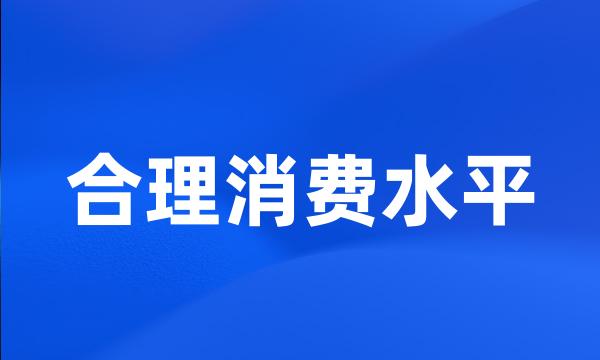 合理消费水平