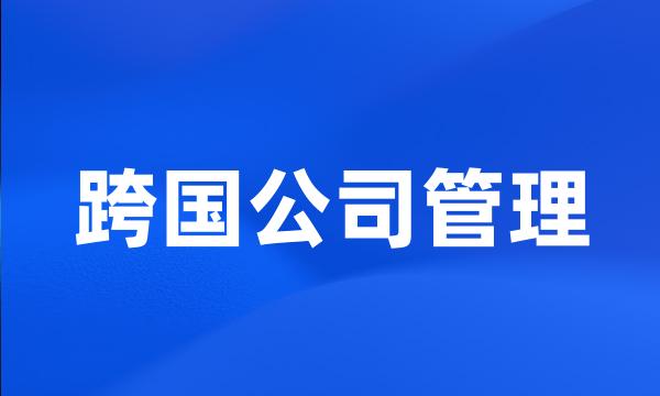 跨国公司管理