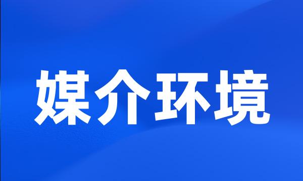 媒介环境