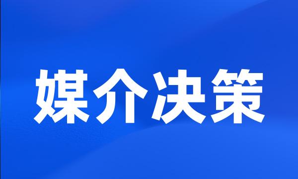 媒介决策