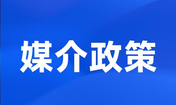 媒介政策