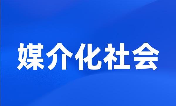 媒介化社会