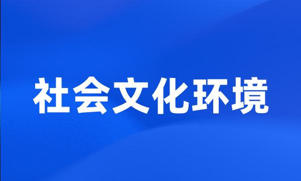 社会文化环境