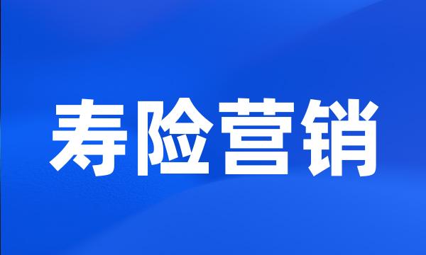 寿险营销